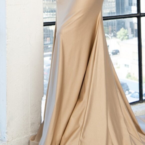 Beige Deep V-Neckline Party Mother of Bride Groom Evening Long Gown Dress 382 - Picture 5 of 8